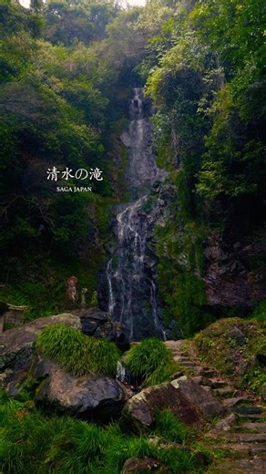猫が道案内してくれる滝が美しすぎた！#japan #saga #waterfall #滝 #絶景