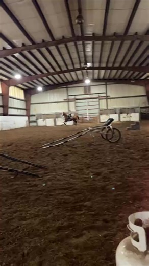 Saddlebred Rescue on Reels