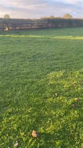 96 reactions · 5 comments | A little update from the @heythrop_hunt_club Heythrop Team Chase,to be held at Sarsgrove, Oxon on 19th October. Course looking All details at www.britishteamchasing.co.uk/heythrop #teamchasingfamily #comejoinus #welovehedges | British Team Chasing | Facebook