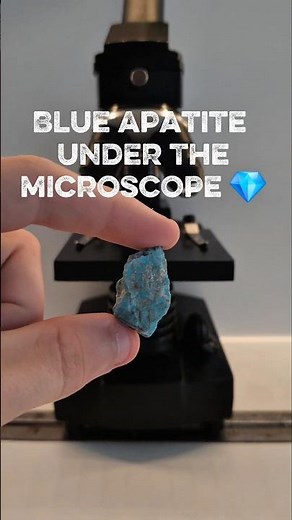 Microscopic observation of blue apatite #microscope #science #experiment