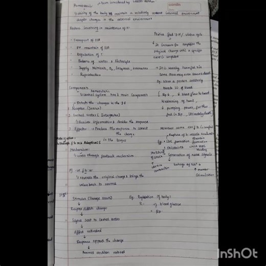 homeostasis 1st yr BDS physiology