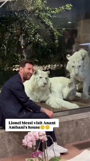 Update_Bollywode on Instagram: "日本利用压电瓷砖将人们的脚步转化为电能。这些瓷砖能够捕捉你脚步产生的动能。 当你行走时，你的体重和动作会对瓷砖产生压力。瓷砖会轻微弯曲，产生机械应力。 瓷砖内部的压电材料会将这种应力转化为电能。 每一步都会产生少量电荷，数百万步加在一起，就能产生足够的电力来驱动LED灯、数字显示屏和传感器。 在像涩谷车站这样人流密集的地方，每天大约240万步 都在为这个系统做贡献。 这些电力可以储存起来或立即使用，从而减少对传统能源的依赖，并支持可持续的城市基础设施。 这种方法把日常的动作转化为实用的可再生能源。 #日本#知识#事实#你知道吗#推荐 #科技 #创新#历史 #技术 #实验#热门"