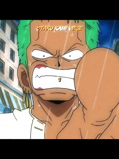 Zoro e a Luta pela Igualdade no Anime