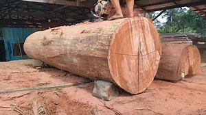 11K views · 176 reactions | The biggest sawmill that is over 100 years old #sawmill#woodworking#chanisaw https://youtu.be/Ux1U9gXTK58 | Sawmill indonesia | Facebook