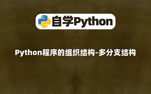 【Python0基础】Python程序的组织结构-多分支结构