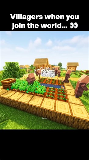 Villagers when I join a world
