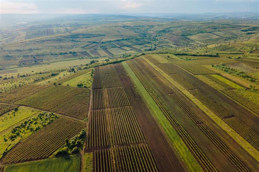 Prix du terrain agricole au m² : tarifs et estimation