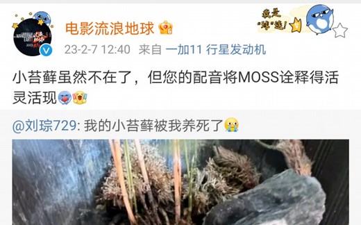 报！MOSS亲手把小苔藓养死了！（破球官方：没事儿，您的声音仍在）