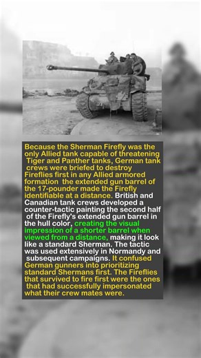 The Tank That Had To Hide Its "Gun" — To Survive Panther Gunners