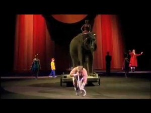 Ringling Bros "Circus Of Dreams" Teaser Reel Shanda Sawyer Director:Writer
