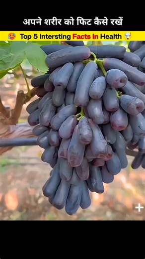 Amazing Facts About Food 🥑 | Health Tips | Intersting Facts About Food | #facts #foodfacts #food