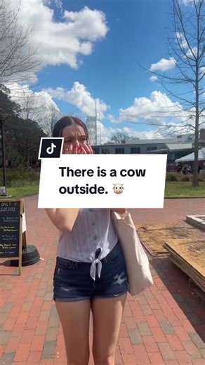 We’re NC State. Of course we have farm animals on campus. 😌🐑🐄 #NCState #Wolfpack #Agriculture #CowsOutside #Trending