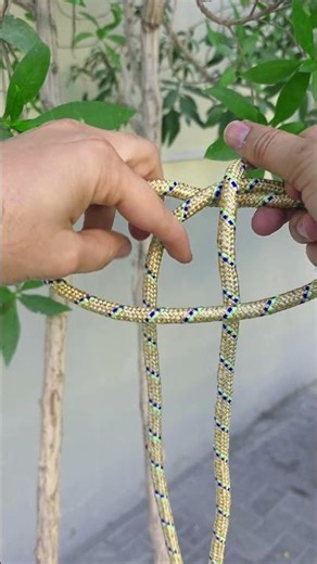 2 Loops 1 Knot, Master the spanish bowline fast | Magic Knots #shorts