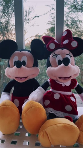 Exciting Gender Reveal with Disney-themed Baby Boy Announcement
