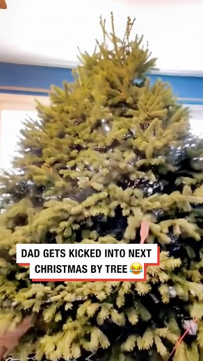 Dad gets kicked into next Christmas by tree 😅 (collab) #christmas #christmastreedecorating #christmastree #funny #hilarious #irish #ireland | LADbible Ireland