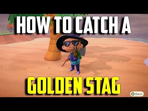 How to Catch a Golden Stag | Golden Stag ACNH | Animal Crossing New Horizons Golden Stag | ACNH Stag