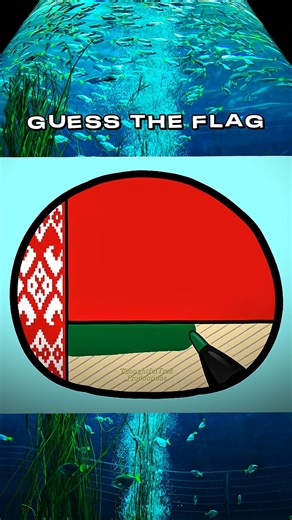 Coloring a Countryball 🇧🇾 | Guess the Flag