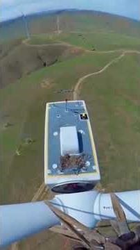 The $1,000,000 Mistake: Why Wind Power is Failing