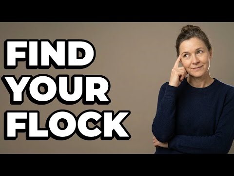 Can Local Bird Stores Help Find Birding Groups?