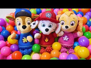 Paw Patrol Home Alone Hindi