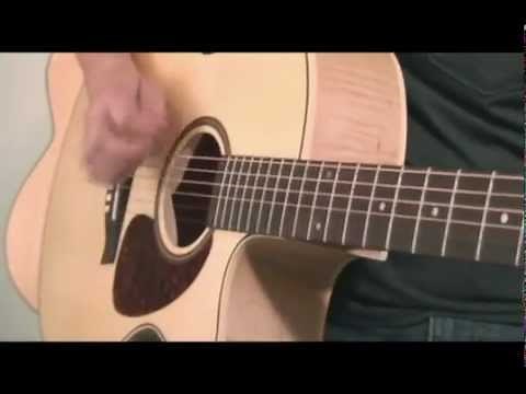 Seagull Performer Series