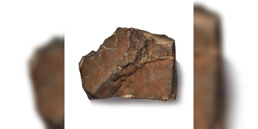 Largest Martian meteorite on Earth could fetch millions at New York auction