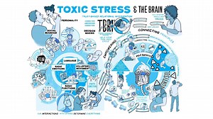 We're pleased to introduce our newest TBRI Animate: Toxic Stress & The Brain. Watch as this TBRI Animate explains the complexity of the human brain, the impact of Adverse Childhood Experiences, and the hope for healing in trust-based relationships. | Karyn Purvis Institute of Child Development