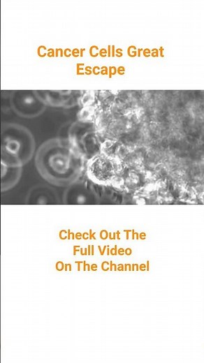 #microscopy #funnyvideo #cellbiology #science