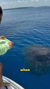 317K views · 4.2K reactions | This Man Caught Many Fish With His Shirt  . . . . . . #man #caught #fish #shirt #explorepage #exploremore #viralreels #reels | Labee X Glitch | Facebook