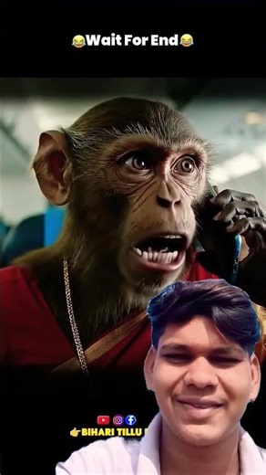 monkey vlog😱#shorts #funny #monkey#monkeyvlog