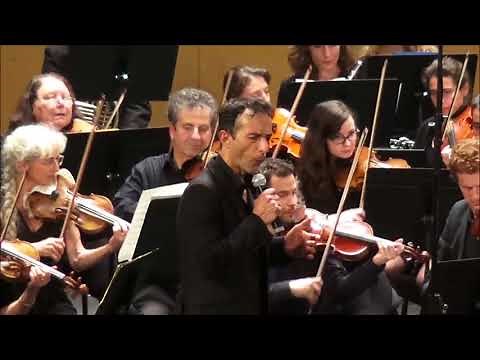 Mozart Reine de la Nuit