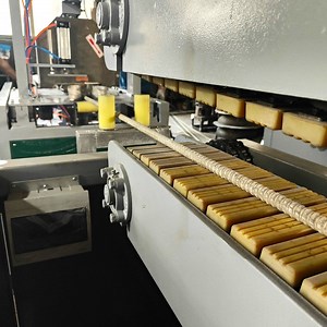 [Hot Item] Fiberglass Rebar Machine - High Quality Multi-Specification Equipment Manufacturer