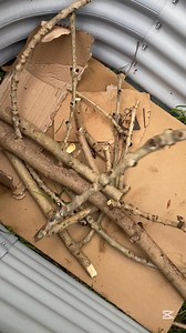 9.2K views · 61 reactions | Don’t break the bank to fill your garden...