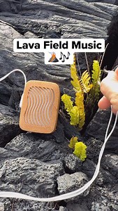 25K views · 2K reactions | This fern is one of the first plants to...