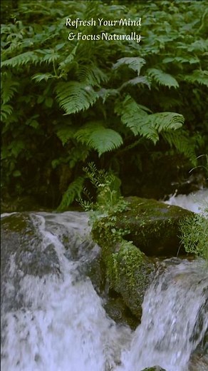Rocky River Stream Nature Sounds for Sleep, Study & Meditation (No Music | Refresh Your Mind)