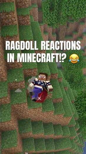 RAGDOLL REACTIONS IN MINECRAFT!? 😮