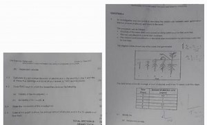 4.1 (b) Dependent variable4.2 Calculate the percentage decrea... | Filo