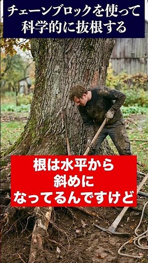 An easy way to uproot plants using a chain block #shorts #gardener