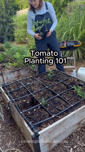 5.6K views · 2.1K reactions | Comment SEND and I’ll DM you my full...