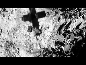 Every war movie from the 1940's