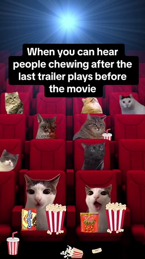 “Oh, that looks good I’m gonna see that” comment is a guarantee too 🎥🍿😹 #movies #movietheater #chew #memes #catlife