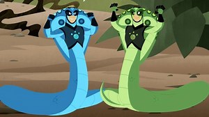 Wild Kratts - Cobra Creature Powers! Video | PBS KIDS