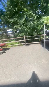 TriviaFest 2024 is in the books and what an amazing Fest it was! If you missed it, you missed a fantastic day! Games. Dancing. Singing. Tons of prizes. A TV that went for a hike. We had it all! Don’t miss TriviaFest 2025! You’ve been warned! | Lets Go Trivia