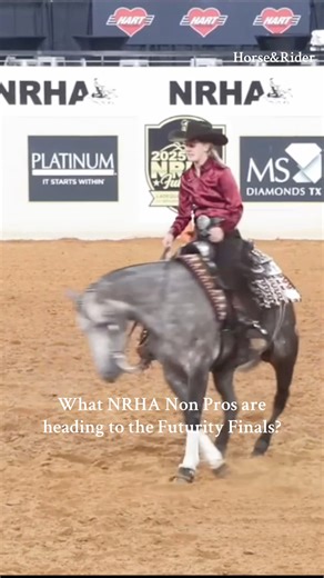The NRHA Non Pro Futurity finals is stacked! Check out who will be aiming to take home the big prize at bit.ly/3XzSeAe 𝘛𝘩𝘦 𝘍𝘶𝘵𝘶𝘳𝘪𝘵𝘺 𝘣𝘦𝘨𝘪𝘯𝘴 𝘢𝘵 4 𝘱.𝘮. 𝘊𝘛 𝘢𝘯𝘥 𝘪𝘴 𝘢𝘷𝘢𝘪𝘭𝘢𝘣𝘭𝘦 𝘵𝘰 𝘸𝘢𝘵𝘤𝘩, 𝘧𝘰𝘳 𝘧𝘳𝘦𝘦, 𝘰𝘯 Ride TV >> https://www.ridetvgo.tv/ #horseandrider #ridetv #nrhafuturity | Horse & Rider Magazine