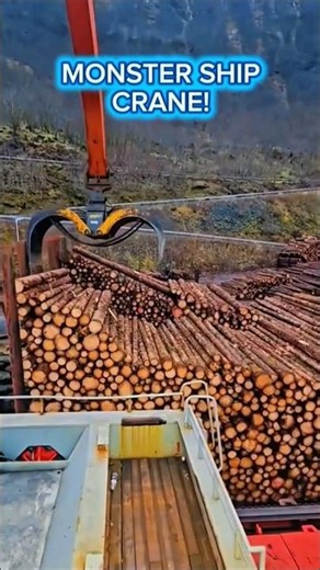 Heavy Duty Ship Crane Loading Massive Timber Logs with Hydraulic Grapple.