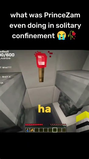 PrinceZam was slowly going Insane 😭🥀 Minecraft Unstable Smp #shorts #memes