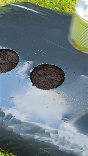 These Simple Tools Make Gardening Easy | Crafty Panda