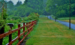 How to Protect Pressure Treated Wood Underground - WoodCritique