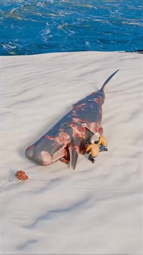 They Exploded A Whale 😱 | Zackdfilms92