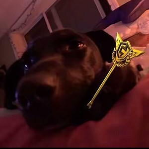 tiko1xx - Twitch